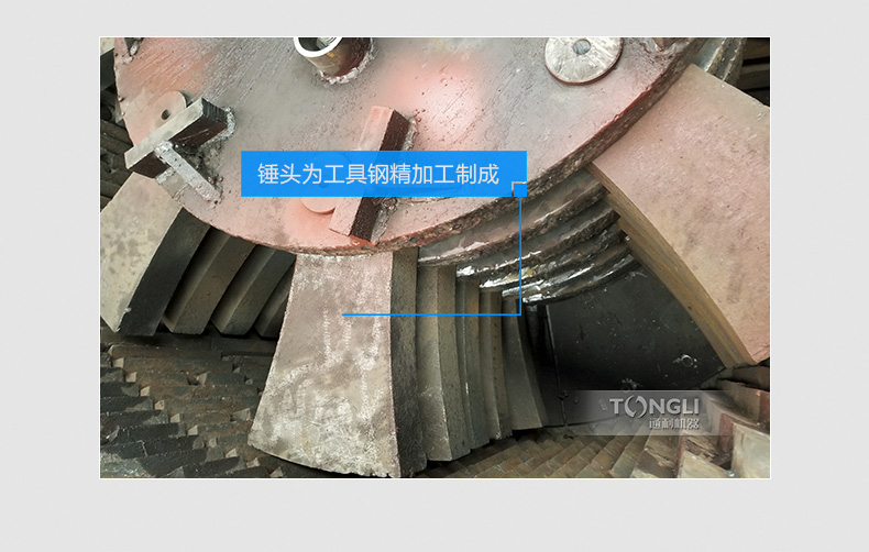 16200936913463.jpg web_05.jpg